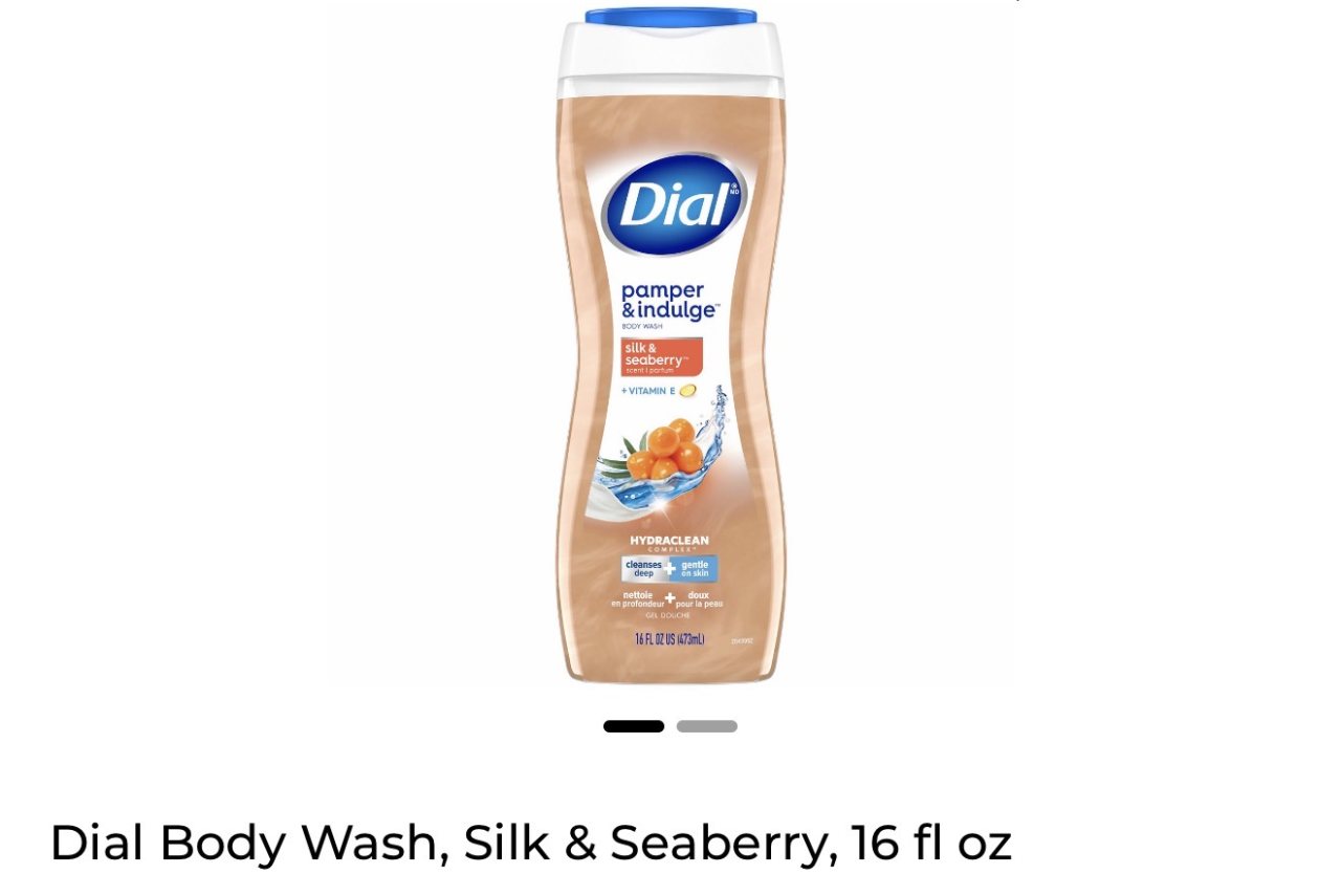 Dial Body Wash, Silk & Seaberry, 16 fl oz — Dollar General penny item
