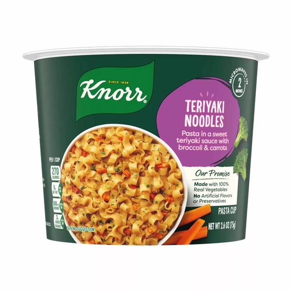 Knorr Teriyaki Noodle Pasta Cup, 2.6 oz — Dollar General penny item