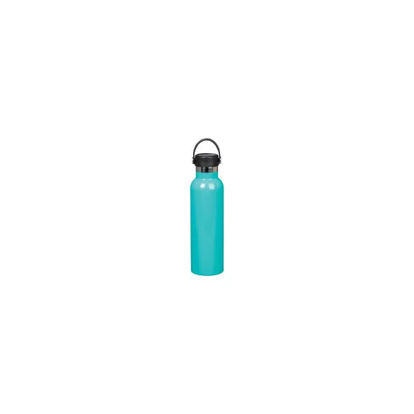 Stainless Steel Water Bottle, Assorted — Dollar General penny item