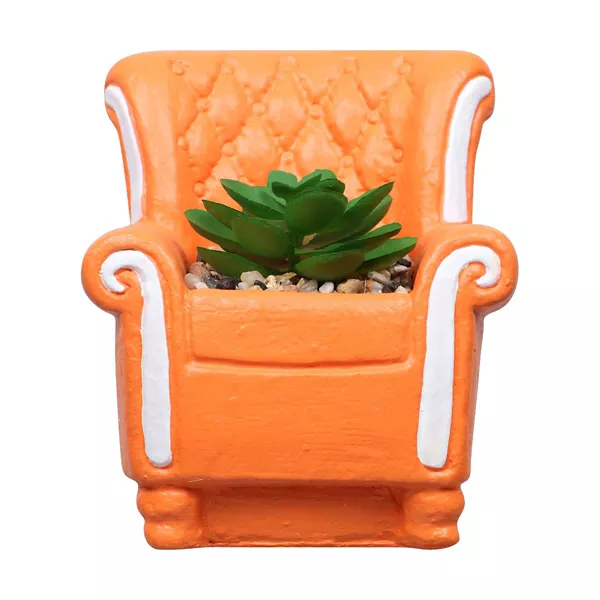Decorative Chair Succulent, Assorted — Dollar General penny item