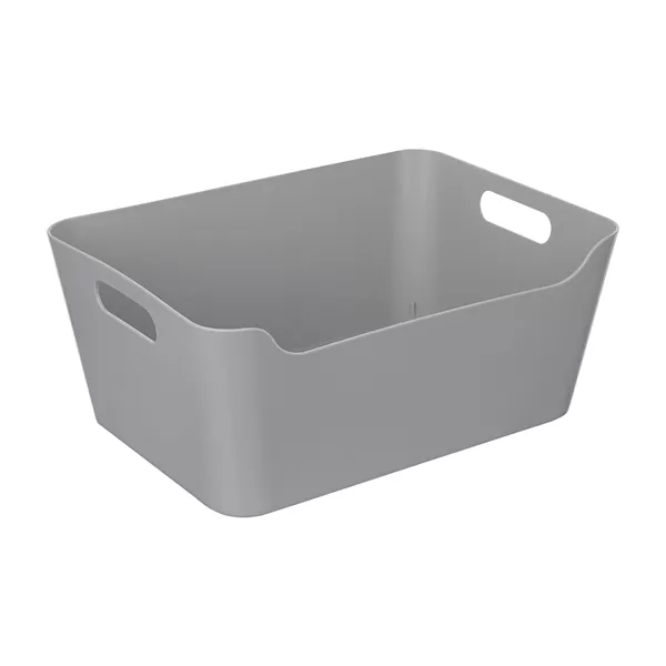 Plastic Storage Bin with Handle, Large — Dollar General penny item