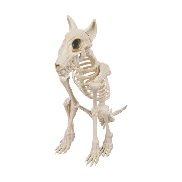 Halloween Skeleton Dog Décor — Dollar General (SKU 38097501)