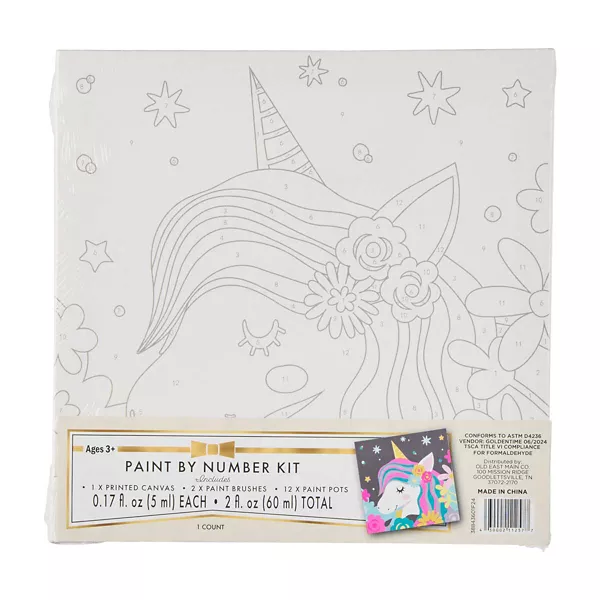 Paint by Number Kit, Assorted — Dollar General (SKU 38843601)