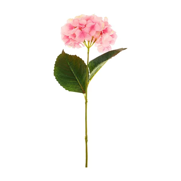 Pssp26 Hyd Stm Lt Pink Home Decor Hydrangea Stem Assorted 1 Count — Dollar General penny item