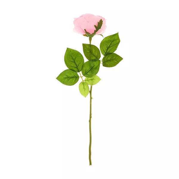 Pssp26 Pny Stm Pink Home Decor Peony Stem Assorted 1 Count — Dollar General penny item