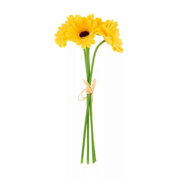 Pssp26 Dsy Bsh Yellow Home Decor Daisy Bush Assorted 1 Count — Dollar General penny item
