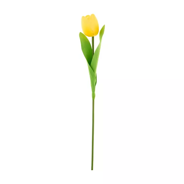 Pssp26 Yellow Tlp Stm Home Decor Tulip Stem Assorted 1 Count — Dollar General penny item