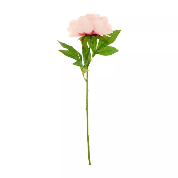Pssp26 Pink Pny Stm Home Decor Peony Stem Assorted 1 Count — Dollar General penny item