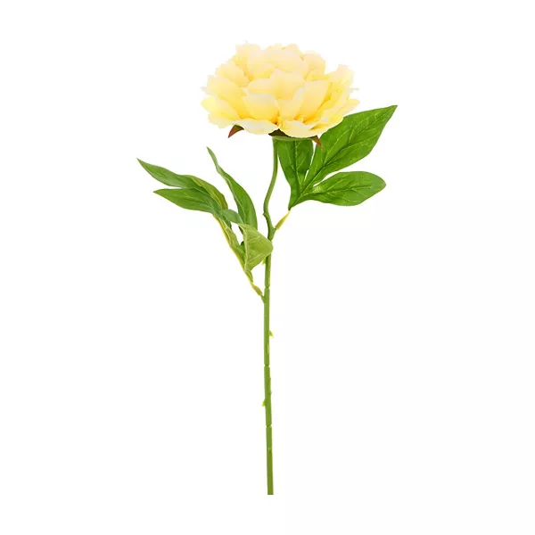 Pssp26 Yellow Pny Stm Home Decor Peony Stem Assorted 1 Count — Dollar General penny item