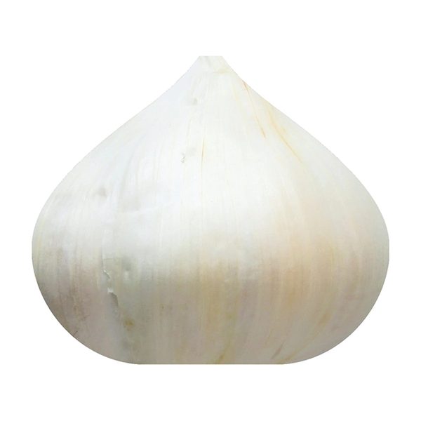 Loose Garlic — Dollar General