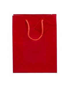 Dg Party Medium Gift Bag - Red, 1 Count — Dollar General penny item