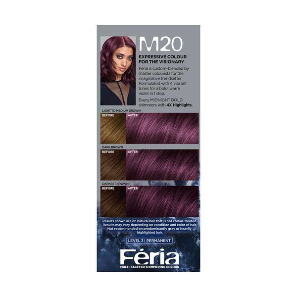 L'Oreal Paris Feria Midnight Bold Permanent Hair Color - Orchid Glow — Dollar General penny item