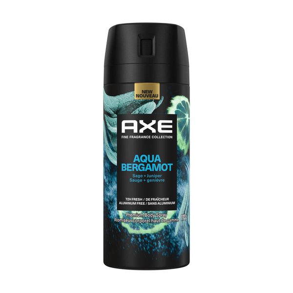 Axe Aqua Bergamot Premium Body Spray, 4 oz — Dollar General penny item