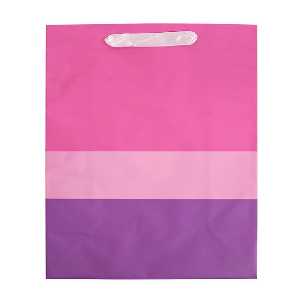 Color Block Large Gift Bag, 2 Assorted Styles — 70% off during the remodel at Dollar General #1250