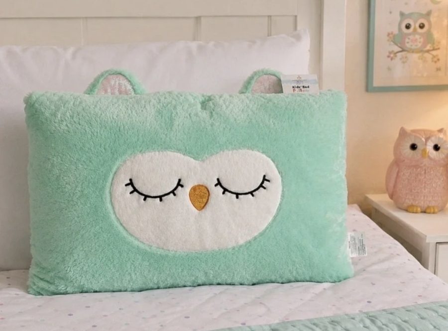 F25 Bed Pillow Plush Owl Comfort Bay Bed Pillow Assorted 1 — Dollar General