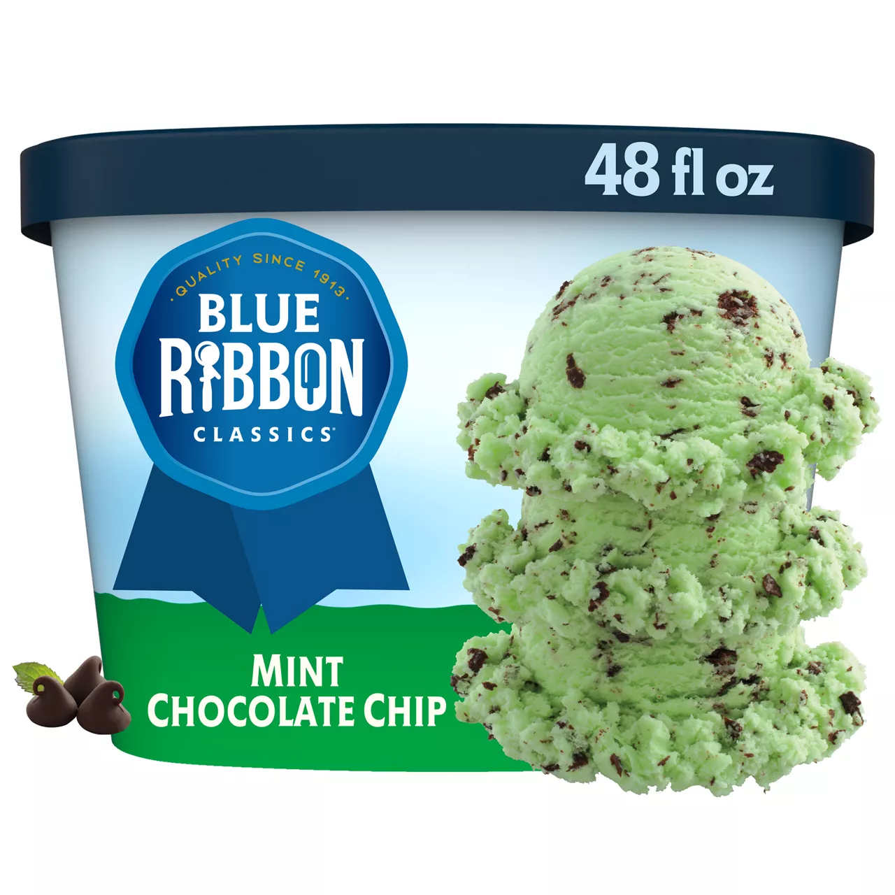Blue Ribbon Classics Mint Chocolate Chip Frozen Dessert, 48 fl oz — pOpshelf penny item